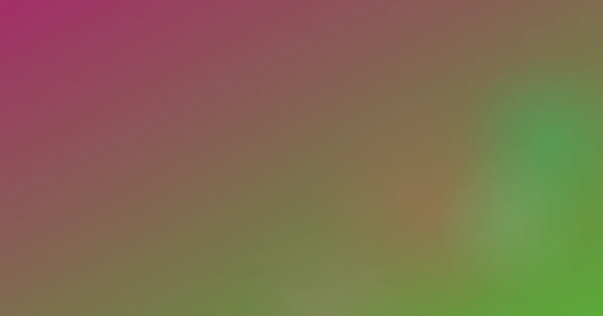 名模怎么用：实拍心得